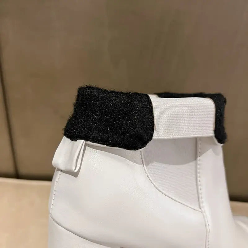 Autumn And Winter New Thick Platform Heel Gender Fluid Boots