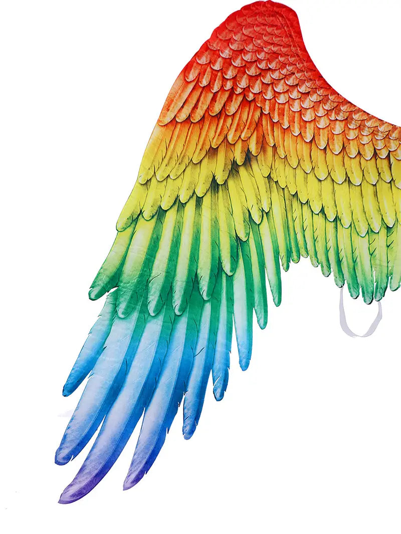 Decorative Rainbow Colour Angel Wings Gay Pride