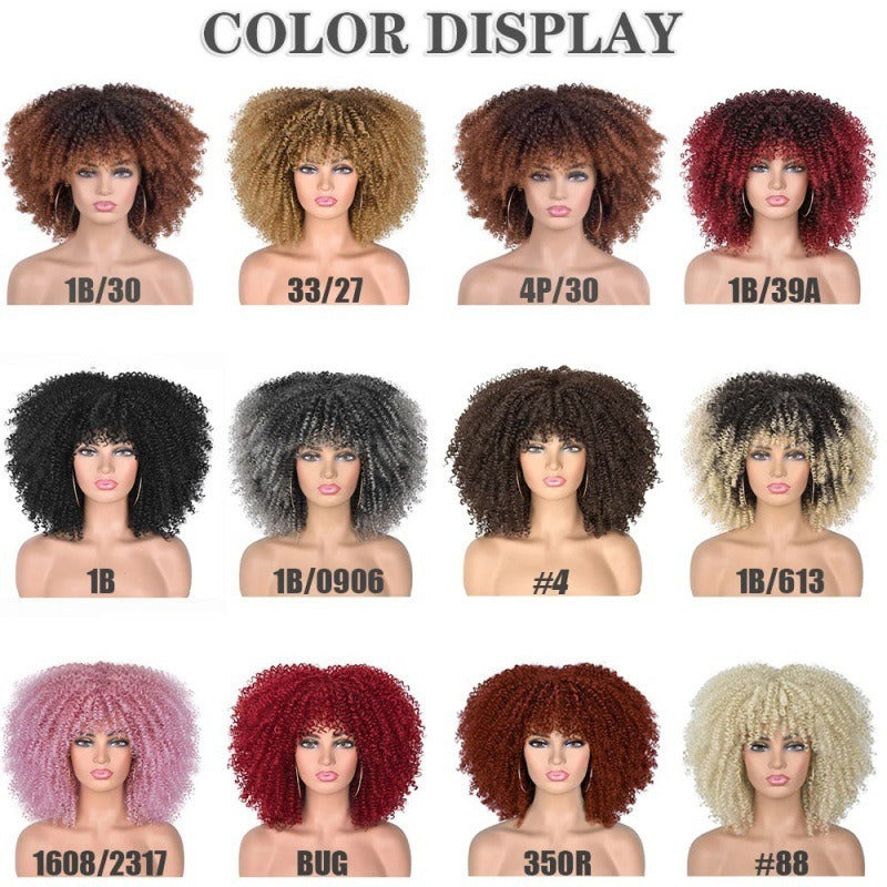 Ladies African Black Chemical Fiber Wig Full Head - Pleasures and Sins   Pleasures and Sins