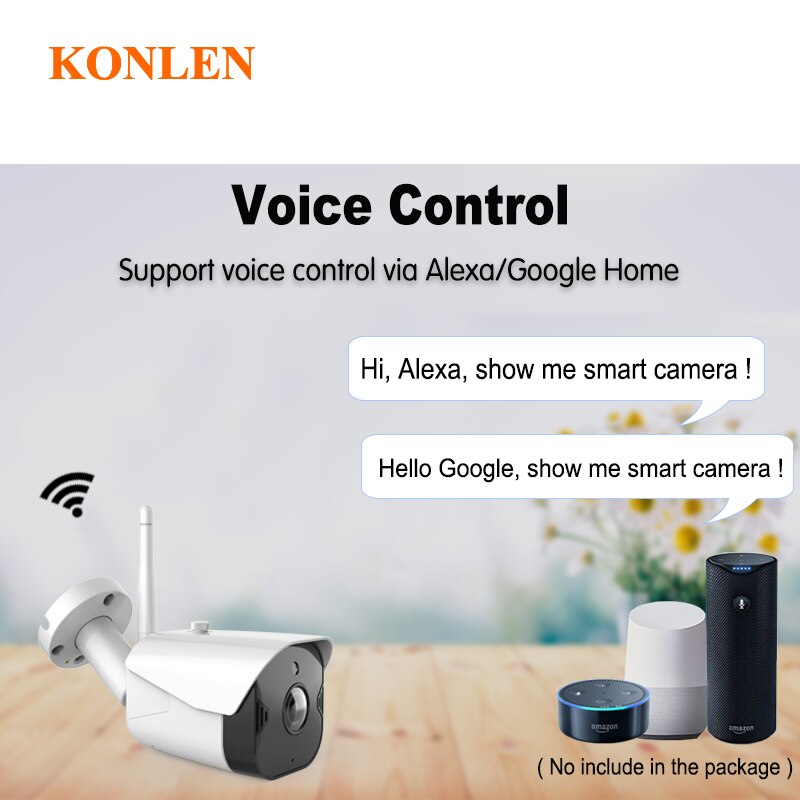 Outdoor Wireless Surveillance Security Camera Google Alexa CCTV - Pleasures and Sins   Pleasures and Sins