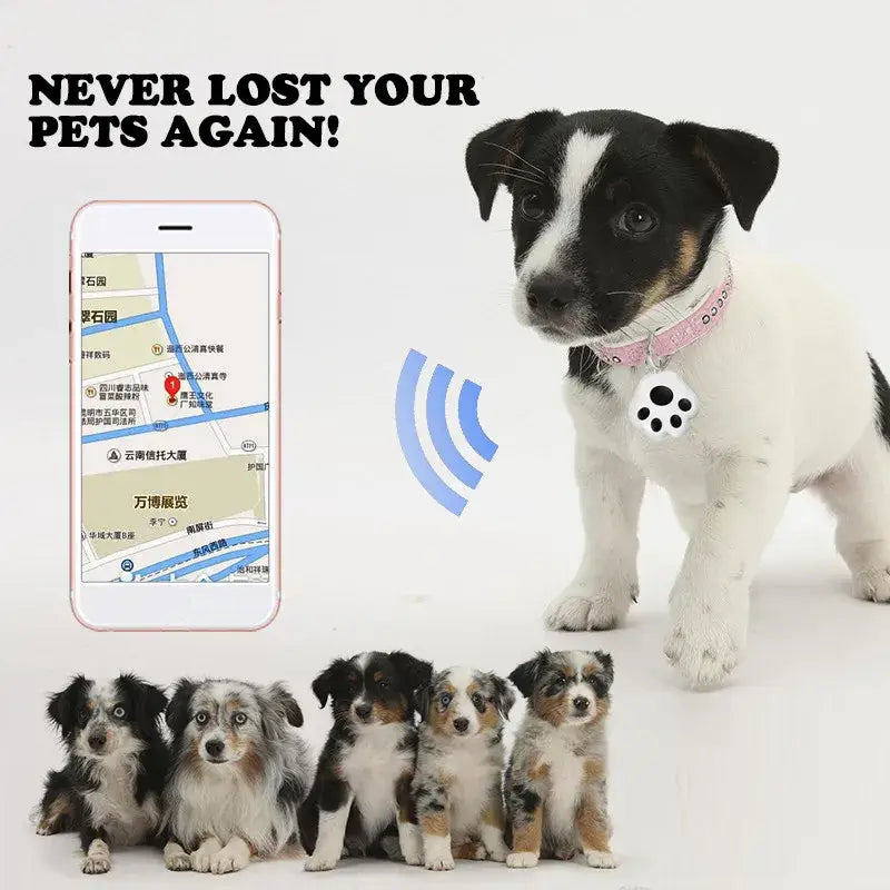 Pet Luggage Bags Keys Smart Gps Anti Loss Tracker