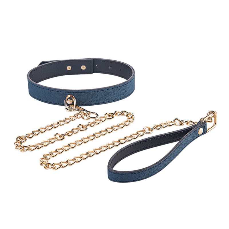 Blue leather collar with attached gold chain leash.