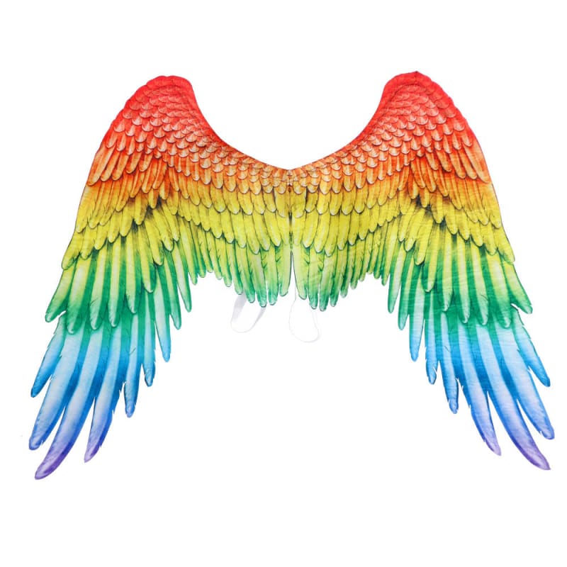 Pair of colorful rainbow wings with feathers arranged in a gradient pattern.