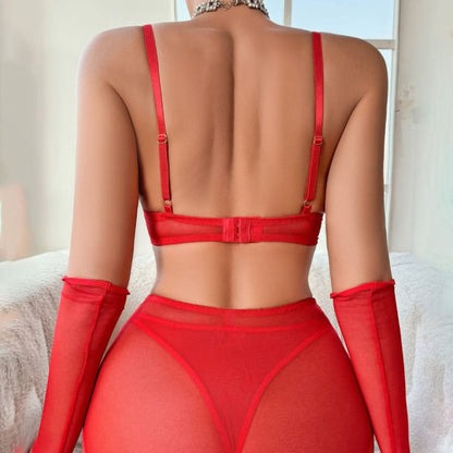 Red lingerie set consisting of a bra, sheer bottoms, and long gloves.