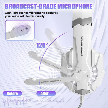 Broadcast-grade omni-directional microphone with a 120-degree pickup pattern.